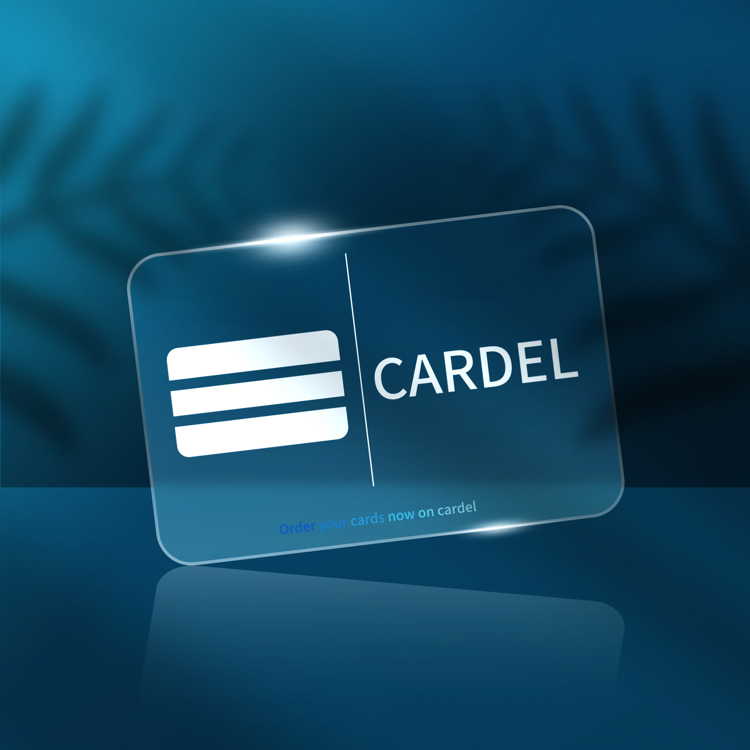 Cardel Clear Plastic Business Cards